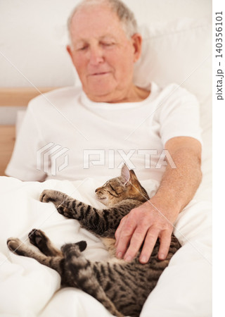 Senior man, cat and relaxing in bed, smile and resting in retirement at home. Elderly male person, bedroom and morning routine in apartment, animal and bonding with pet for fun or playful on weekend Senior man, cat and relaxing in bed, smile and resting in retirement at home. Elderly male person, bedroom and morning routine in apartment, animal and bonding with pet for fun or playful on weekend 140356101