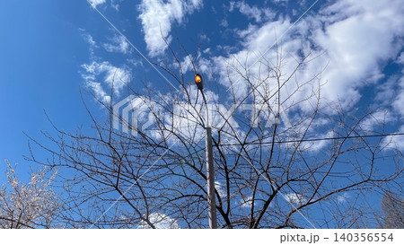 Street lamp post with orange light against blue sky and spring trees Street lamp post with orange light against blue sky and spring trees 140356554