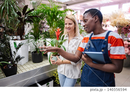 Florist advising customer holding a plant and using a tablet in a flower shop Florist advising customer holding a plant and using a tablet in a flower shop 140356594