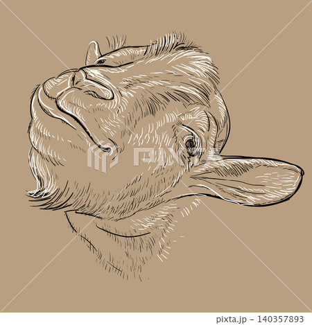 Funny goat monochrome head hand drawing vector illustration Funny goat monochrome head hand drawing vector illustration 140357893