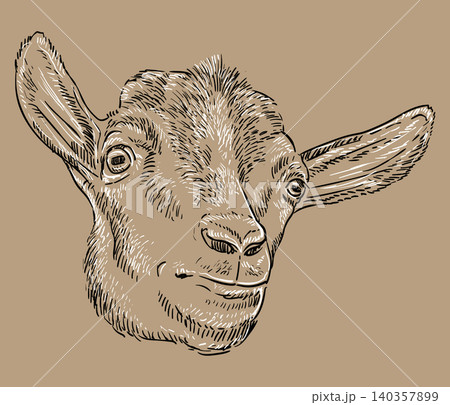 Funny cute monochrome goat head hand drawing vector illustration 140357899