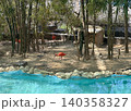 Scarlet ibis or red ibis (Eudocimus ruber) 140358327