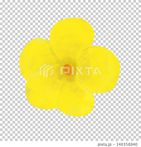 Illustration of bitter melon flowers Illustration of bitter melon flowers 140358840