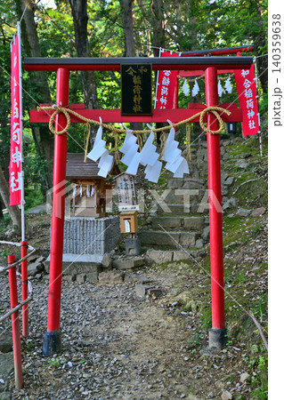 和合稲荷 唐沢山神社境内 栃木県佐野市 和合稲荷 唐沢山神社境内 栃木県佐野市 140359638