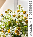 Bunch of daisies in well lit room. Flowers closely packed together, delicate petals and vibrant colors. Sunlight shines through nearby window, brightness, freshness and beauty of nature 140359662