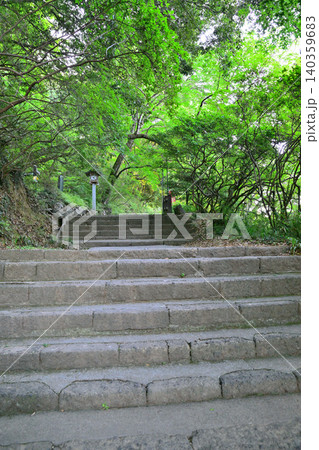 参道　唐沢山神社境内　栃木県佐野市 140359683