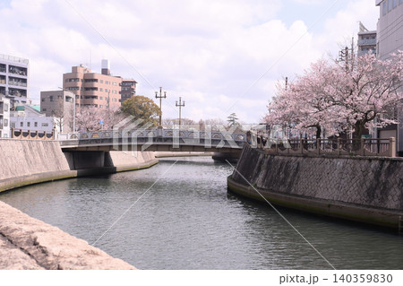 春の都川　千葉市中央区 140359830