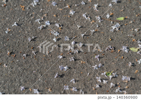 Bare earth with scattered petals. Clean and simple botanical confetti design featuring neutral hues and scattered floral remnants for social media or commercial use Bare earth with scattered petals. Clean and simple botanical confetti design featuring neutral hues and scattered floral remnants for social media or commercial use 140360980