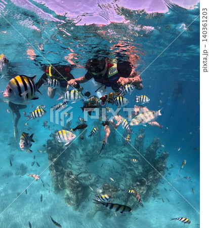 Snorkel with tropical fish above the underwater sculpture garden in the crystal clear ocean. Snorkel with tropical fish above the underwater sculpture garden in the crystal clear ocean. 140361203