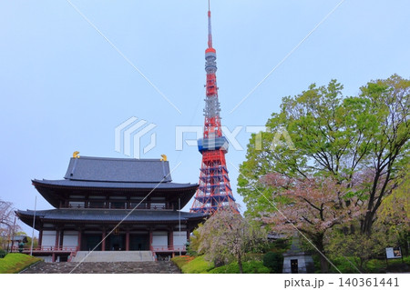 東京タワーと増上寺(東京都港区) 東京タワーと増上寺(東京都港区) 140361441