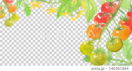 Watercolor mini tomato frame Watercolor mini tomato frame 140361884