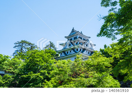 郡上八幡城 140361910