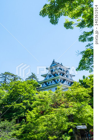 郡上八幡城 郡上八幡城 140361914