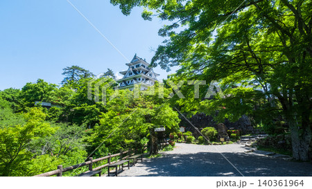 郡上八幡城 郡上八幡城 140361964