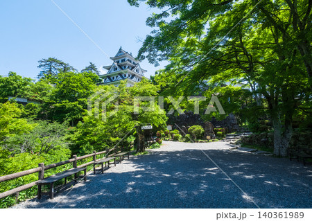 郡上八幡城 郡上八幡城 140361989