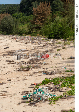砂浜に漂着して溜まる枯木とゴミ 砂浜に漂着して溜まる枯木とゴミ 140362012