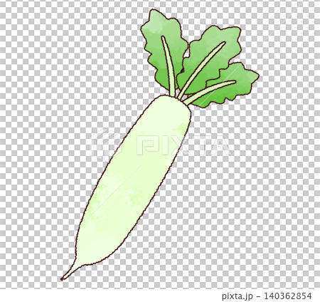 水彩画風のシンプルな大根のイラスト 水彩画風のシンプルな大根のイラスト 140362854