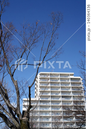 公園の樹木とマンション 140364336
