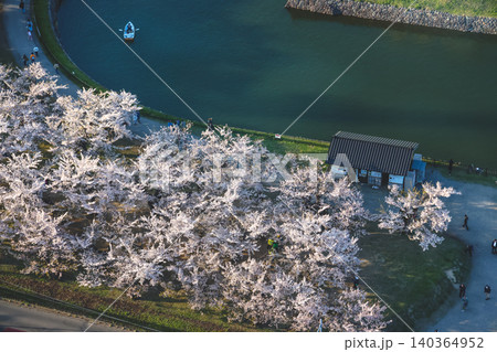 April 25 2026 Goryokaku Park Moat With Cherry Blossoms Aerial April 25 2026 Goryokaku Park Moat With Cherry Blossoms Aerial 140364952