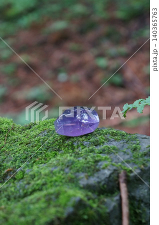 苔の上の紫水晶 苔の上の紫水晶 140365763