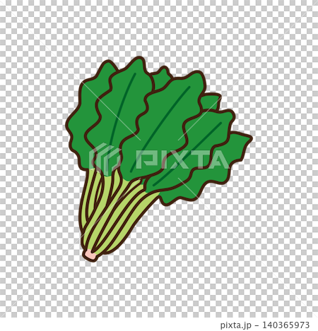 シンプルかわいいほうれん草のベクターイラスト 140365973