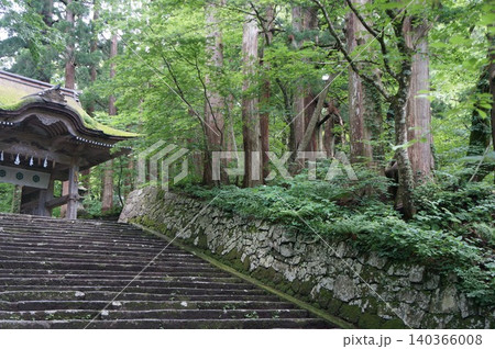緑に覆われた神社の参道 緑に覆われた神社の参道 140366008