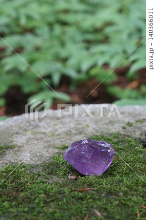 苔の上に置かれた紫水晶 苔の上に置かれた紫水晶 140366011