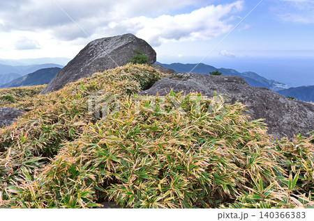 伊豆半島の伊豆山稜線歩道　仁科峠展望台　熊笹に埋もれるなべ石 140366383