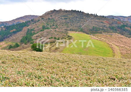 伊豆半島の伊豆山稜線歩道　仁科峠展望台から眺める後藤山 140366385
