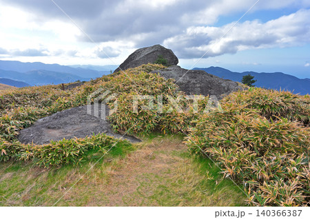 伊豆半島の伊豆山稜線歩道 仁科峠展望台 熊笹に埋もれるなべ石 伊豆半島の伊豆山稜線歩道 仁科峠展望台 熊笹に埋もれるなべ石 140366387
