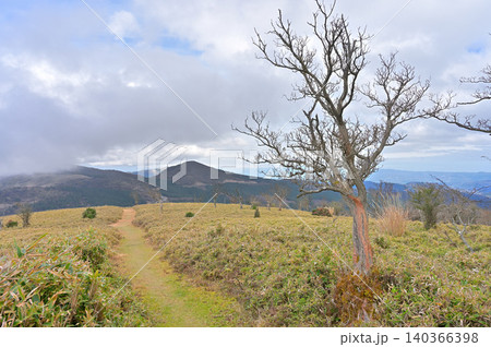 伊豆半島 伊豆山稜線歩道の風早峠付近 草原にのびる登山道 伊豆半島 伊豆山稜線歩道の風早峠付近 草原にのびる登山道 140366398