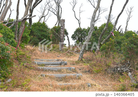 伊豆半島の魂ノ山 伊豆山稜線歩道のミソウ台への入口 伊豆半島の魂ノ山 伊豆山稜線歩道のミソウ台への入口 140366405