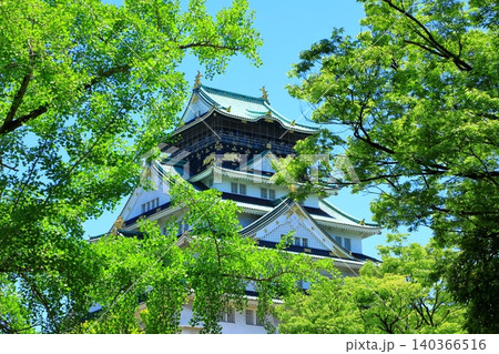 新緑の大阪城天守閣 140366516