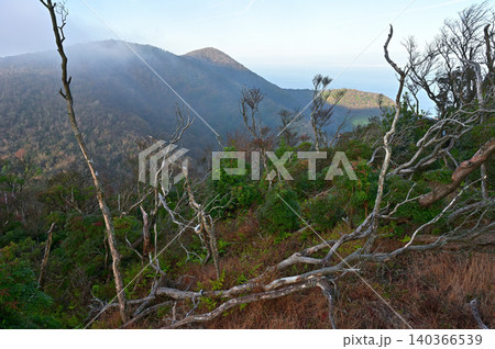 伊豆半島　伊豆山稜線歩道　魂ノ山より望む朝霧のミソウ台 140366539