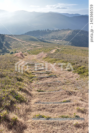 伊豆半島 魂ノ山 宇久須峠 伊豆山稜線歩道の草原の縦走路 伊豆半島 魂ノ山 宇久須峠 伊豆山稜線歩道の草原の縦走路 140366559