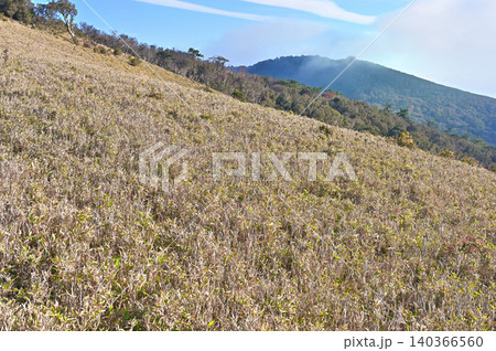 伊豆半島 伊豆山稜線歩道 宇久須峠の草原から望む魂ノ山 伊豆半島 伊豆山稜線歩道 宇久須峠の草原から望む魂ノ山 140366560