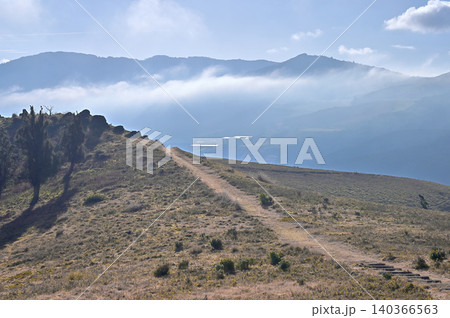 伊豆半島 伊豆山稜線歩道 魂ノ山 宇久須峠の草原の縦走路と先の山並 伊豆半島 伊豆山稜線歩道 魂ノ山 宇久須峠の草原の縦走路と先の山並 140366563