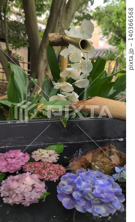 季節感を伝える紫陽花と和風空間のイメージ〜福岡市・筥崎宮〜 140366568