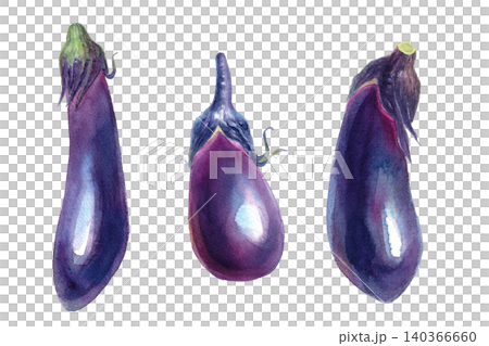 一套三幅水彩插圖,描繪了形狀不規則的茄子—夏季蔬菜 一套三幅水彩插圖,描繪了形狀不規則的茄子—夏季蔬菜 140366660