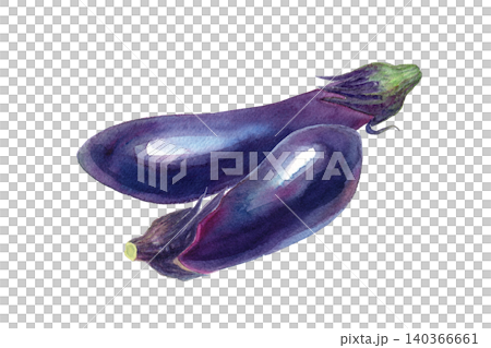 新鮮なナスの水彩イラスト。2種組み合わせ。夏野菜 新鮮なナスの水彩イラスト。2種組み合わせ。夏野菜 140366661