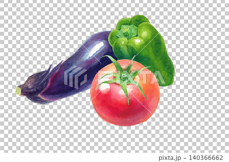 A watercolor illustration of a set of three fresh summer vegetables (tomato, eggplant, and bell pepper). 140366662