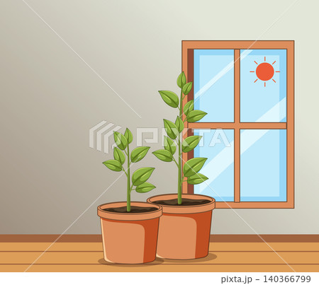 Two Potted Plants by Sunny Window Indoors 140366799