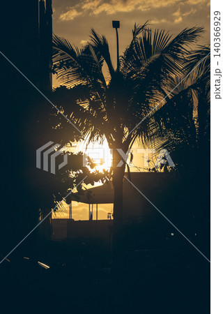 Backlit tropical palm trees swaying between modern skyscrapers under bright sunny sky, Urban tropical landscape with coconut palms silhouetted against sunlight and city towers 4k Backlit tropical palm trees swaying between modern skyscrapers under bright sunny sky, Urban tropical landscape with coconut palms silhouetted against sunlight and city towers 4k 140366929