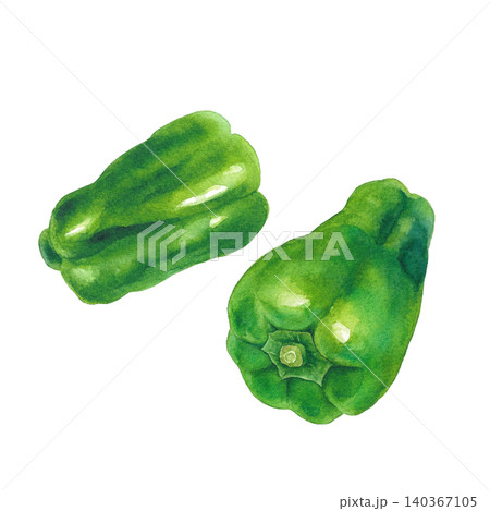 フレッシュな緑ピーマンの水彩イラスト 2つ 夏野菜 フレッシュな緑ピーマンの水彩イラスト 2つ 夏野菜 140367105