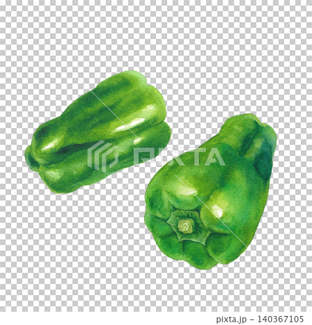 フレッシュな緑ピーマンの水彩イラスト 2つ 夏野菜 フレッシュな緑ピーマンの水彩イラスト 2つ 夏野菜 140367105