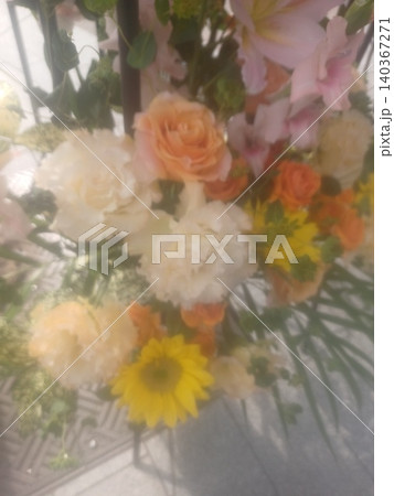 白い花 黄色い花 白い花 黄色い花 140367271