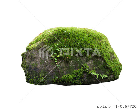 stone covered with moss isolated on white background stone covered with moss isolated on white background 140367720