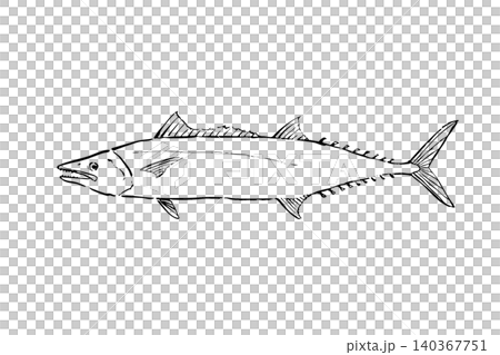An illustration of a Spanish mackerel, in the style of a saltwater fish line drawing encyclopedia. An illustration of a Spanish mackerel, in the style of a saltwater fish line drawing encyclopedia. 140367751