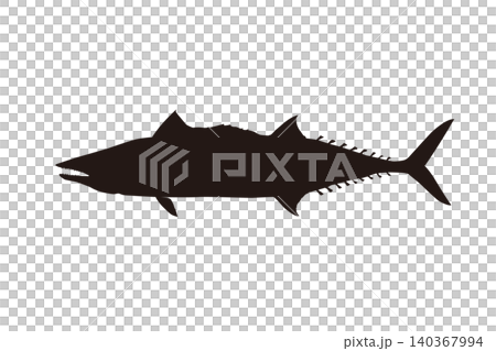 海水魚イラスト サワラのシルエットイラスト 海水魚イラスト サワラのシルエットイラスト 140367994