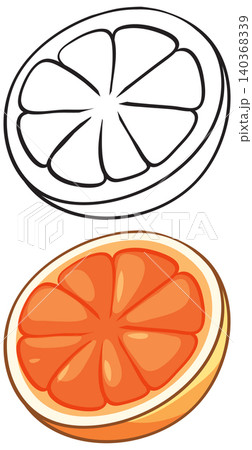 Orange Fruit Slice Vector Illustration in Color and Line Art 140368339